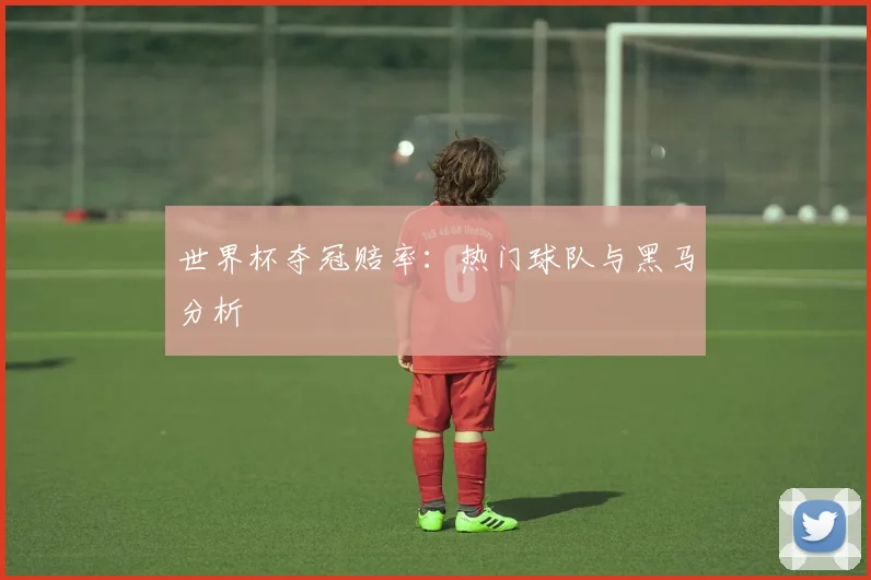世界杯夺冠赔率：热门球队与黑马分析