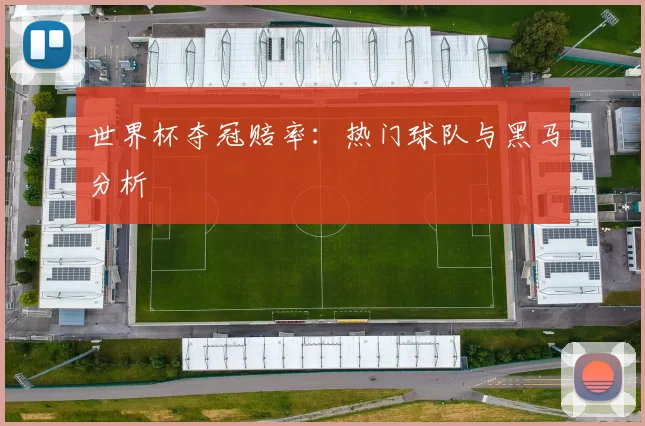 世界杯夺冠赔率：热门球队与黑马分析